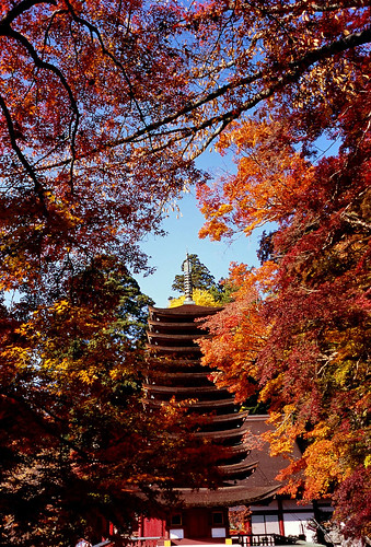 Autumnal leaves and 13-storied pagoda of Tanzan Sinto Shrine taken by film camera.