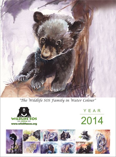 WSOS 2014 Calendar Cover page2