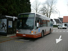 STIB-Bus-31
