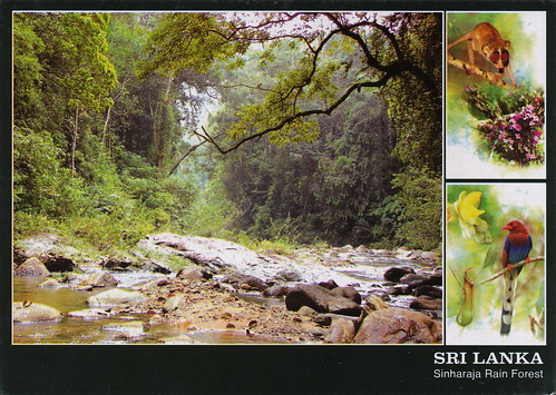 Sinharaja Forest Reserve