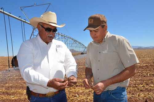 Newly installed pivot irrigation lines run behind Gerry Gonzalez, NRCS district conservationist in Douglas (left) and farmer Alfredo Zamora.