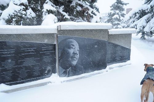 Rosie checks out Dr. Martin Luther King, Jr's memorial in the snow, donors names proudly enscripted, Park Strip, downtown, Anchorage, Alaska, USA by Wonderlane