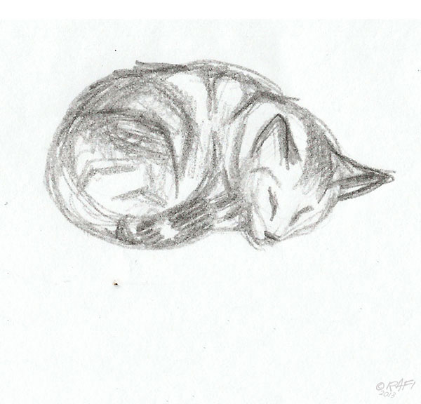 Cat-Asleep