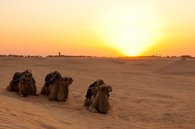 Túnez - Desierto del Sahara