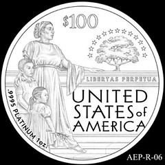 2014 American Eagle Platinum design AEP_R_06