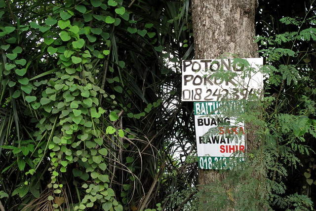 Perak Day Trip - signs on tree
