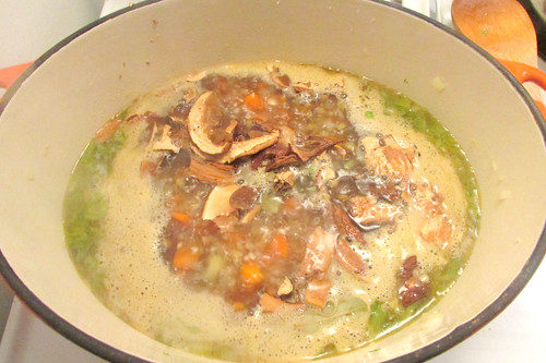 The Best Barley, Lentil and Mushroom Soup