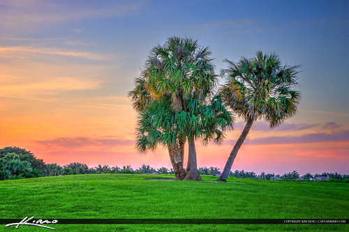 Palm Tree Golf Course North Palm Beach Florida by Captain Kimo