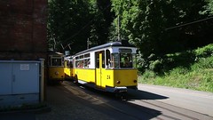 Kirnitzschtalbahn (Bad Schandau) 2014