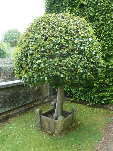 Biddulph Grange Garden ~ 13th May 2011
