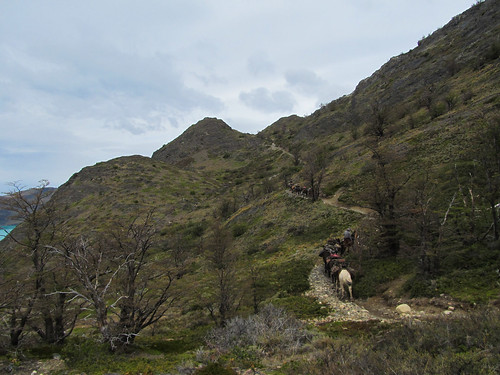 Torres del Paine: c'est ici que nous pique-niquerons avant d'entamer cette belle montée...Mais comment sont réapprovisionnés les refuges du trek du W ? A cheval !