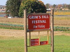 2013 Fall Festival - Grim's Greenhouse