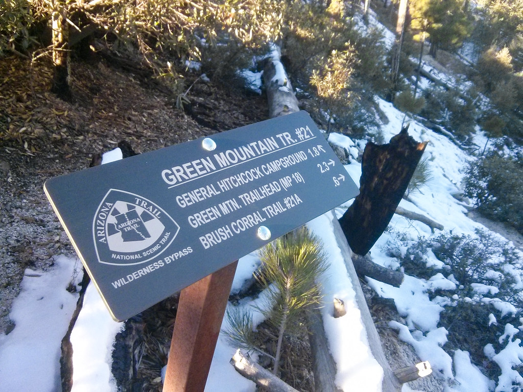 1311 Green Mountain Trail 21 Sign at Bear Saddle