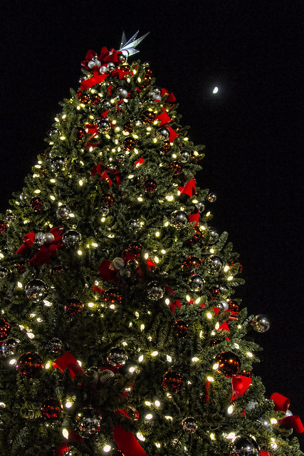 Downey Christmas Tree Lighting