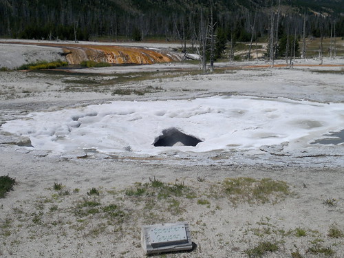 Martes Día 23 de Julio: Yellowstone (II) - 25 días por los parques nacionales del Oeste de USA: un Road Trip de 10500 kms (44)