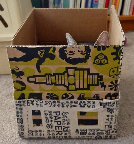 cat in a box inspiration