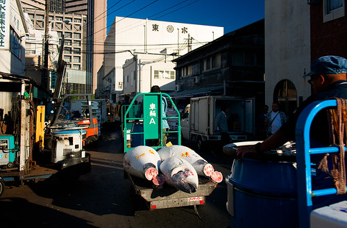 Mercado de Tsukiji by Ramon San Juan