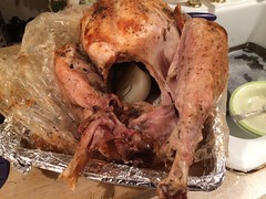 Thanksgiving Turkey 1
