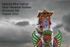 Upacara Pitra Yadnya, Bali 2016