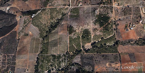 part of the site for proposed Lilac Hills Ranch (via Google Earth)