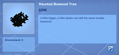 Haunted Boxwood Tree