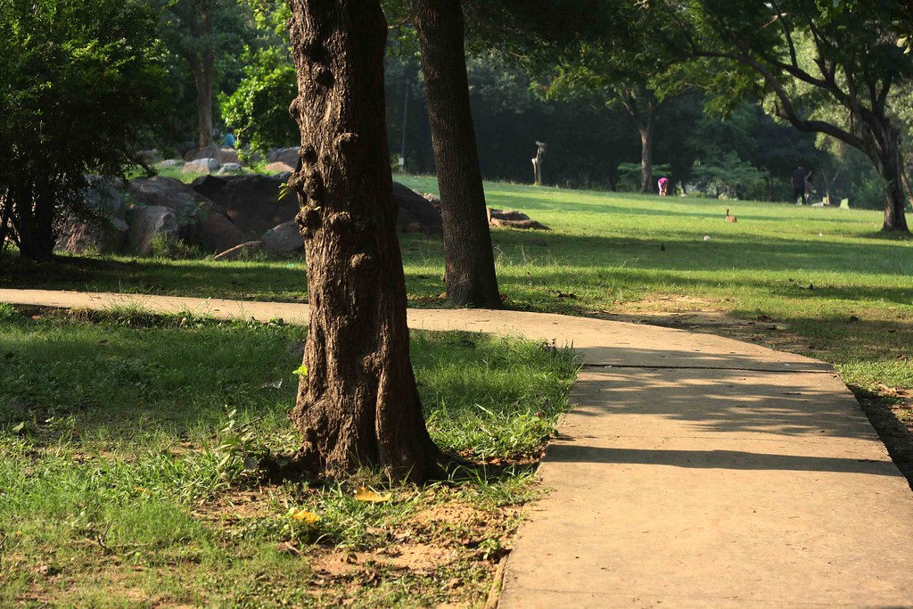 Delhi’s Bandaged Moments – John Keats, Nehru Park