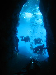 Mergulho na Isla Ballena - cabeza cuevas - La Paz, Mexico