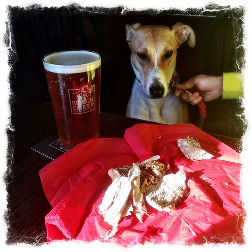 Lurcher and Beer