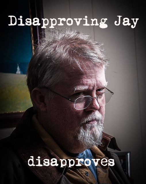 Disapproving_Jay