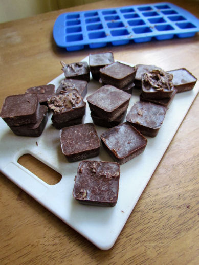 Pop Chocolate Coconut Squares Out