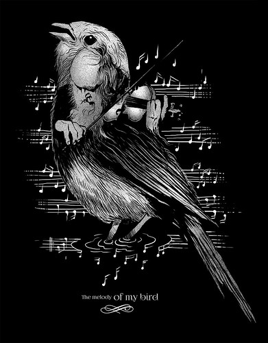 The melody of my bird by rodisleydesign