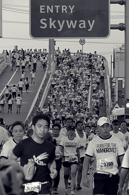 Skyway runners for the benefit of mangrove conservations. Photographed by Bernard Eirrol Tugade