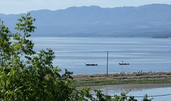 Aboriginal Canoes Leave Comox, July 1st.