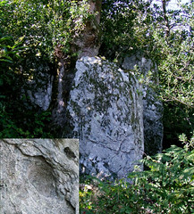 Curvalle.Menhir de Vigardel  (détail).