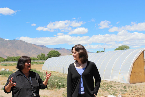 Pyramid Lake Paiute Tribal Administrator Della John, and USDA Office of Tribal Relations Director Leslie Wheelock (right) at a hoop house operated by the Tribe. USDA photo.