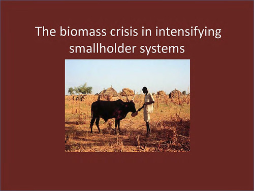 Biomass crisis