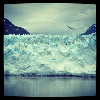 Hello Glacier Bay National Park!