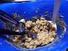 SKC: Buttered popcorn cookies, dough
