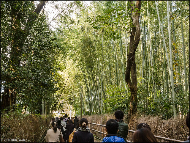 Sagano Bamboo Forest