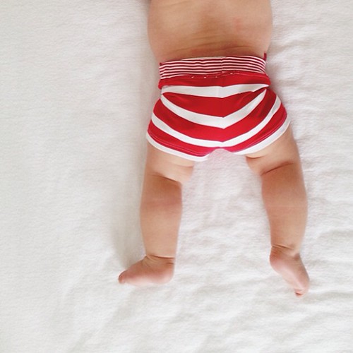 Baby swim shorts arrived in the mail today. (And I'm dying over them.)