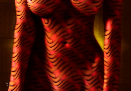 Tigress by Mr. D's Abstract Adventures