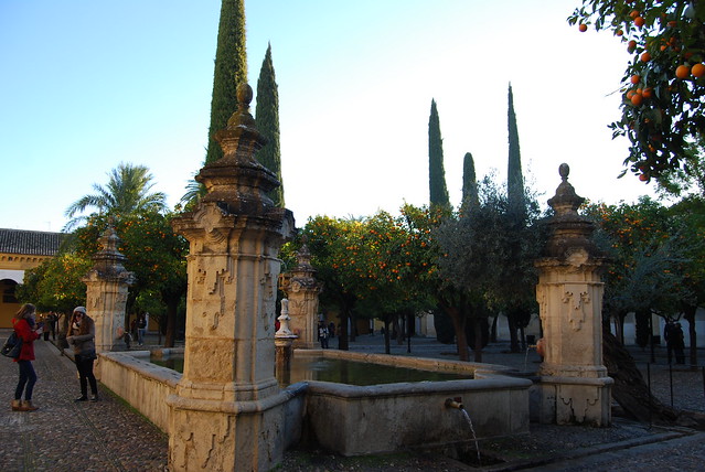 Córdoba, pura magia. - Blogs of Spain - Callejeando por la ciudad antigua. El Alma de Córdoba. (7)