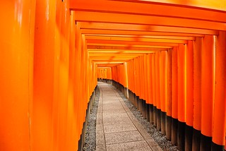 Torii corridor of Fushimi Inari-taisha Shinto Shrine No.1.