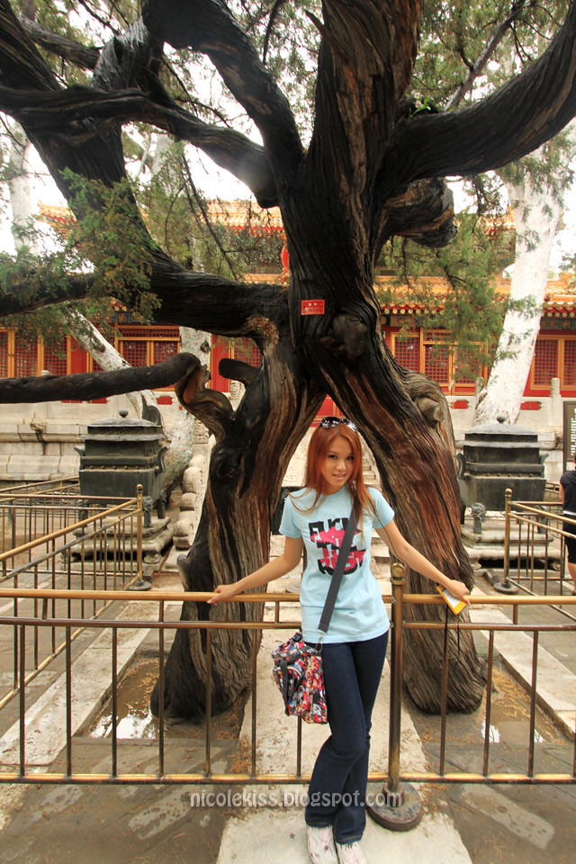 Nicolekiss at Imperial Garden, Forbidden City, Beijing