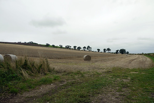 Fields at Flodden