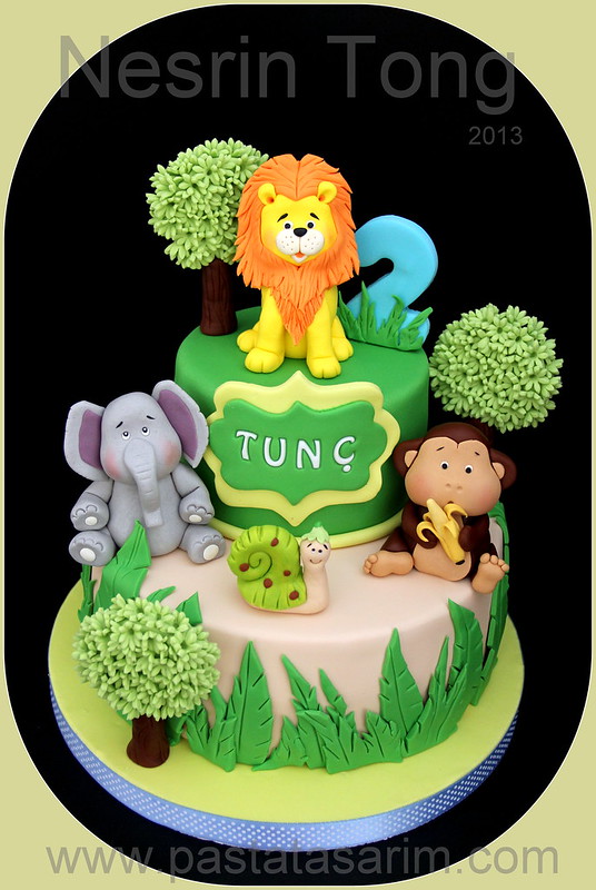 animals 2nd.birthday cake