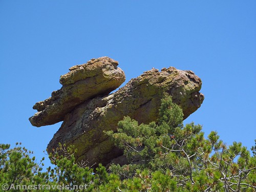 Duck on a Rock, Heart of Rocks Loop Trail, Chiricahua National Monument, Arizona