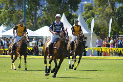 Polo in The City 2013