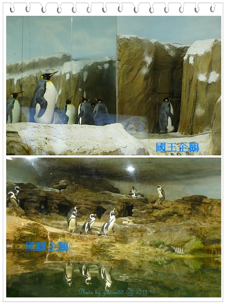 201312動物園-i