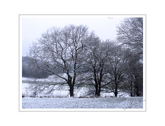 Hiver - Winter - Inverno